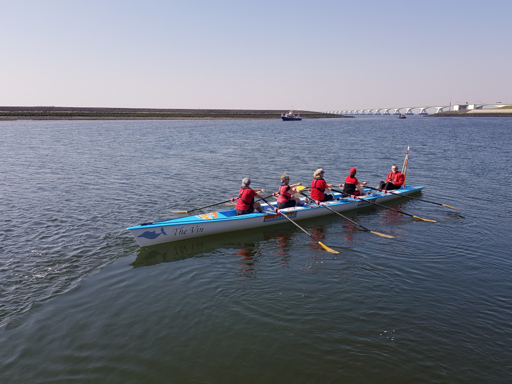 hte Vin op de oosterschelde